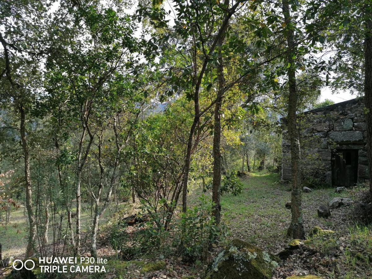 Casa Douro Terrace Βίλα Baião Εξωτερικό φωτογραφία