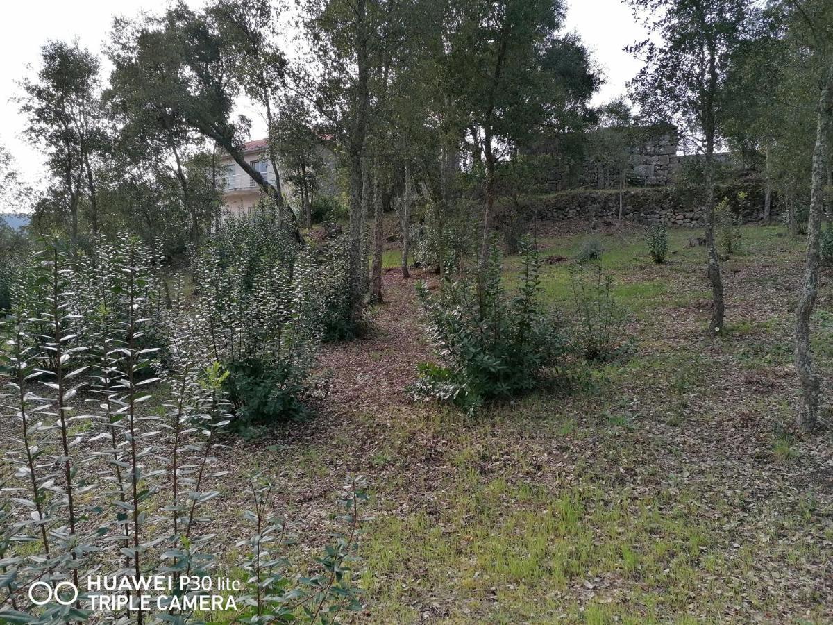 Casa Douro Terrace Βίλα Baião Εξωτερικό φωτογραφία