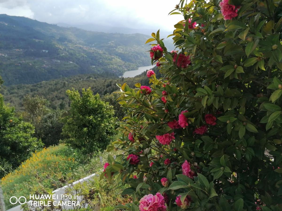 Casa Douro Terrace Βίλα Baião Εξωτερικό φωτογραφία