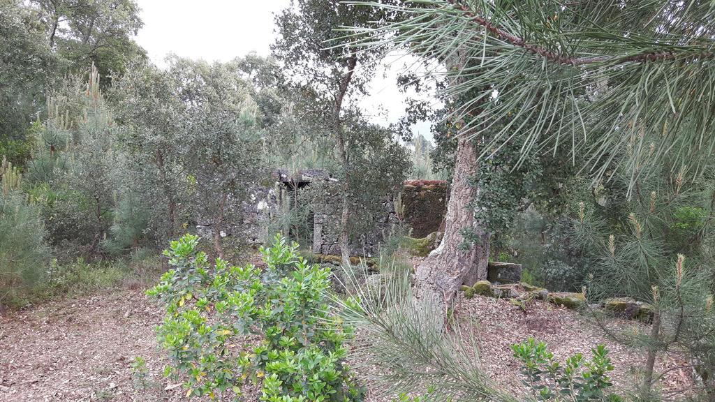 Casa Douro Terrace Βίλα Baião Εξωτερικό φωτογραφία
