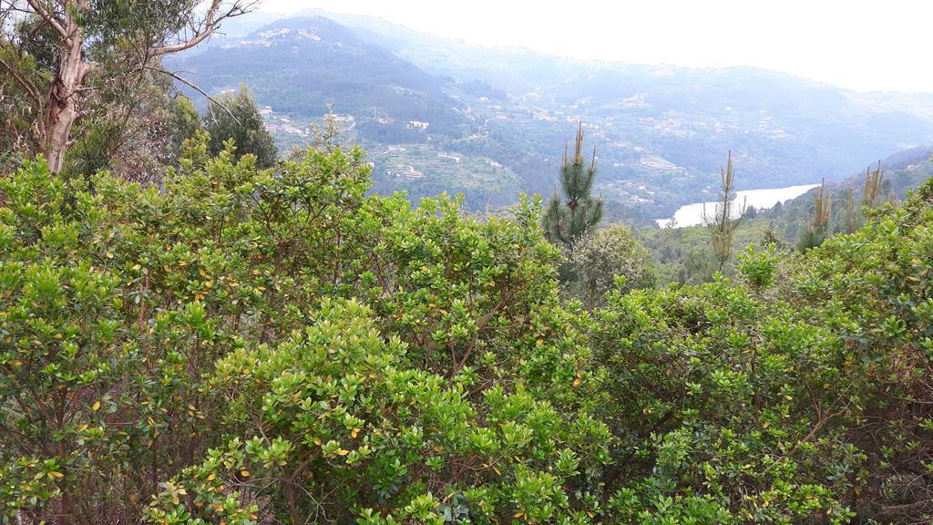 Casa Douro Terrace Βίλα Baião Εξωτερικό φωτογραφία